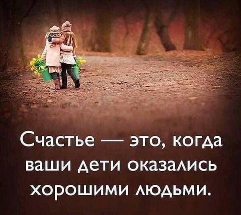 Из Сети