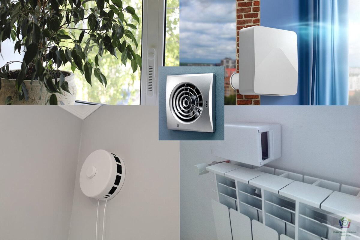 Коллаж собран из фотографий из свободного доступа в интернет