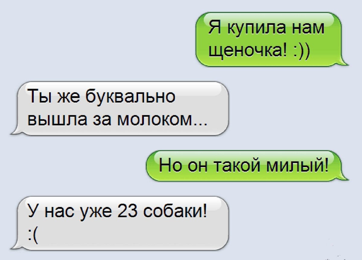 Скриншот переписки. Смешные скрины переписок. Смешные переписки про еду. Смешные переписки с тренером. Милая УГАРНАЯ переписка