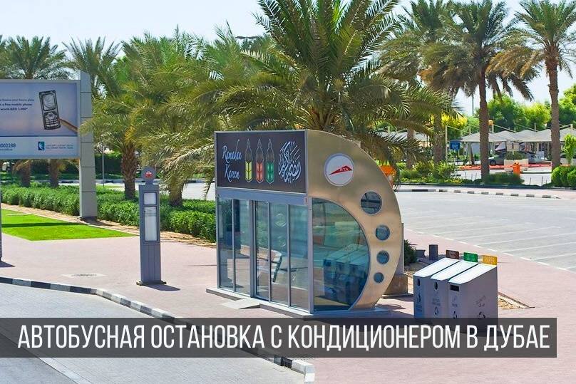 (фото из открытых источников)