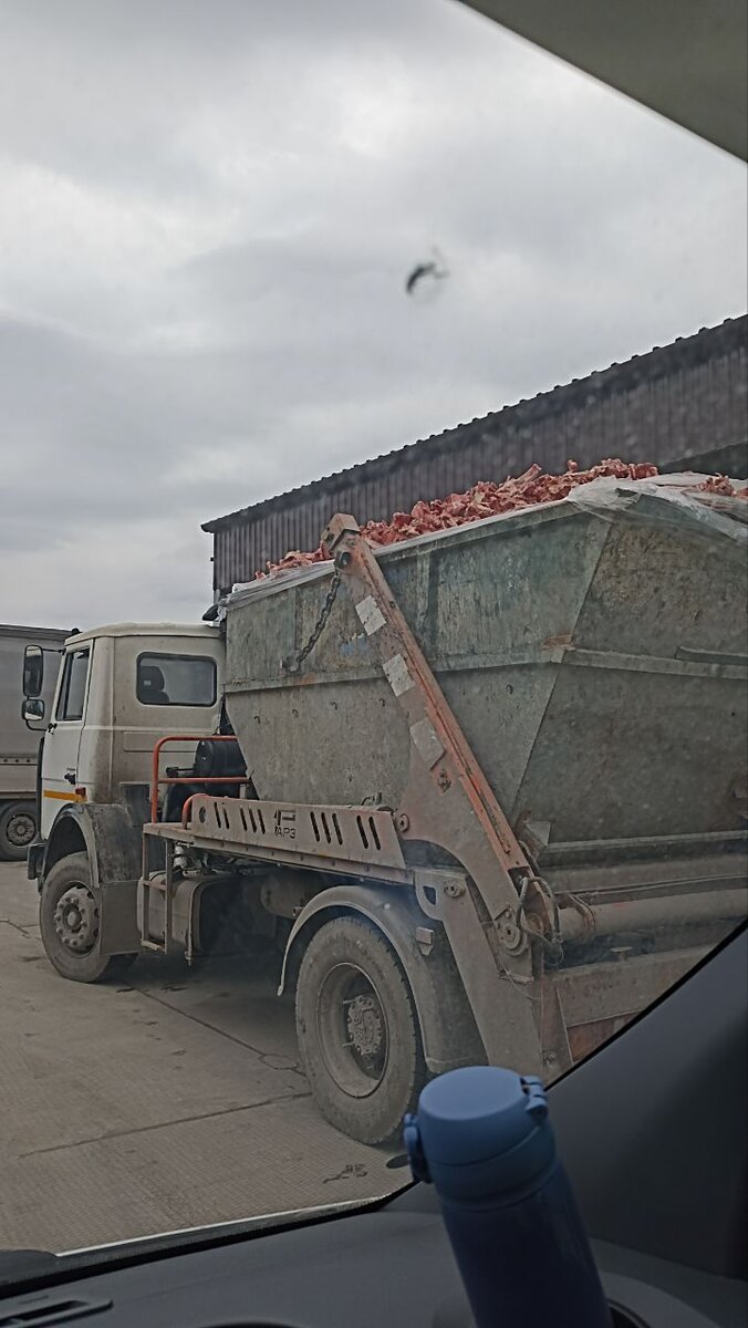 Так много костей в одном месте я не видела 😱