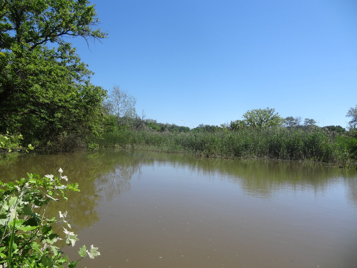 Курское водохранилище. Станица Курская водохранилище. Троицкое водохранилище Ставропольский край. Водохранилища Ставропольского края список. На курском водохранилище