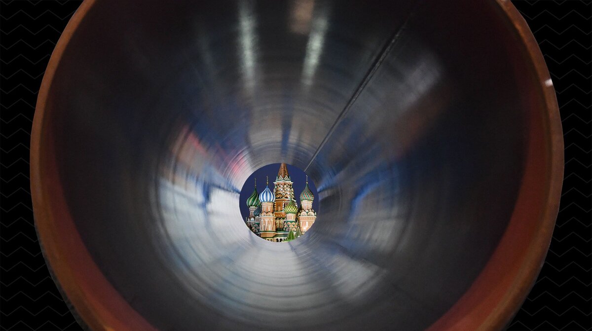 Коллаж © Daily Storm. Фото: © GLOBAL LOOK press/Jens Kalaene/Stefan Sauer