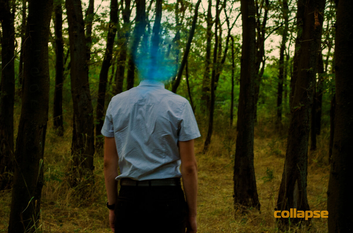 Изображение создано блогом Collapse