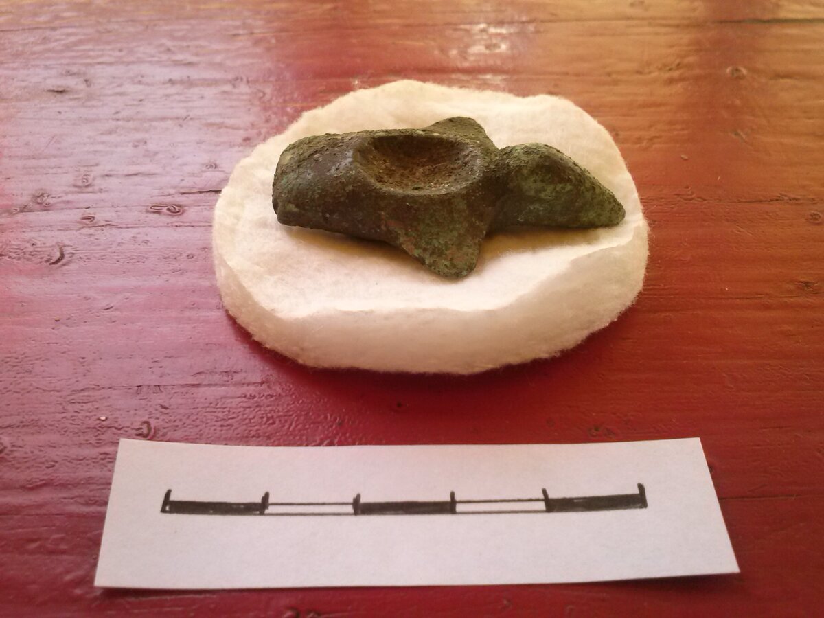 Артефакты с раскопок академика Вячеслава Молодина, могильник Тартас-1. Фото предоставлено ИАЭТ СО РАН