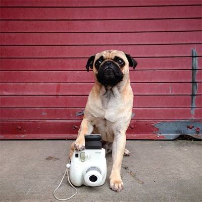 «Я человека съел на продвижении бизнеса с помощью Инстаграм». Этой сетью сможет пользоваться каждый