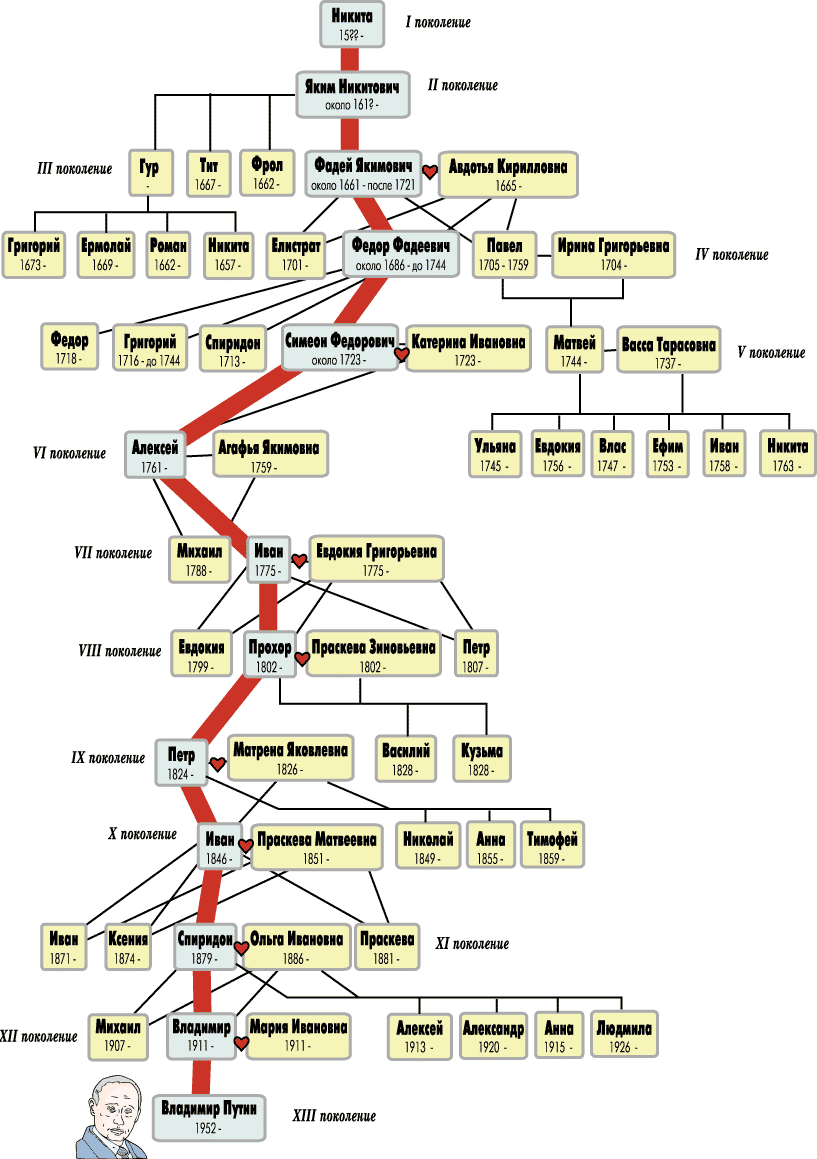 Генеалогическое древо Путина с XVII века | Компромат 3.0 | Дзен