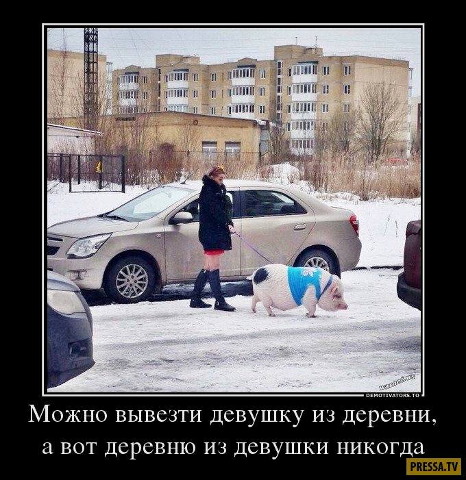 Как она меня вывозит. Как она меня вывозит. Фура с деньгами. Убогие кривые демотиватор. Смешная газелька.