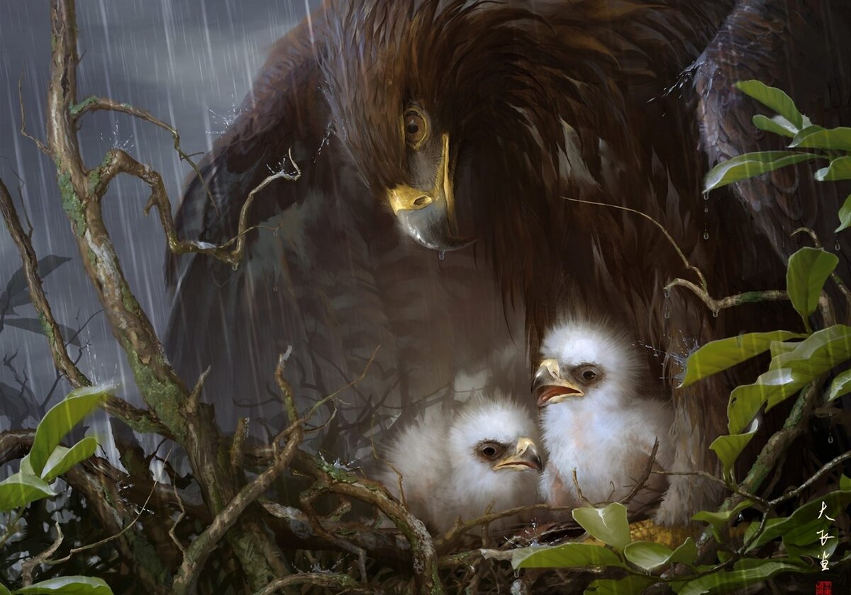 Фото: просторы интернета