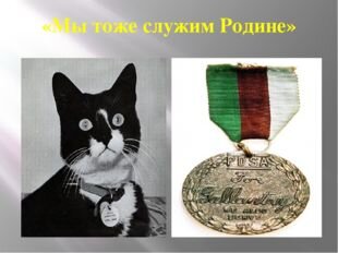 Медаль учреждена в 1943 году Марией Дикин, основательницей благотворительного фонда помощи животным. С 1942 по 1949 год ею награждались животные, отличившиеся во время второй мировой войны. Всего на это время награждено 32 голубя, 18 собак, 3 лошади и 1 кот. Надписи на медали: "Мы тоже служим Родине" и "За мужество".