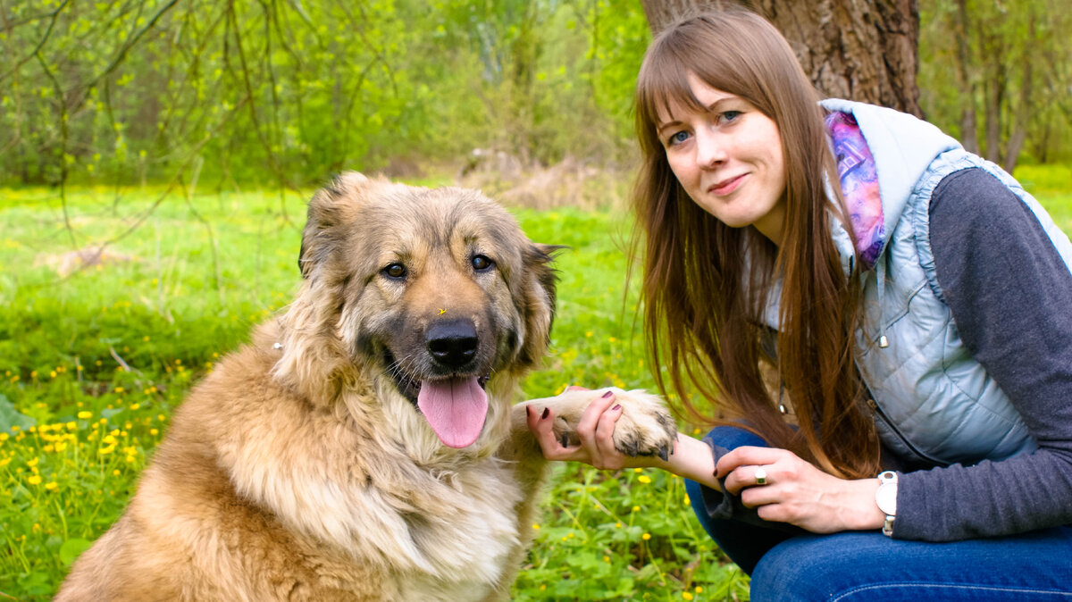 Дог френдли. Дог френдли места. Дог френдли фото. Фестиваль Dog-friendly.