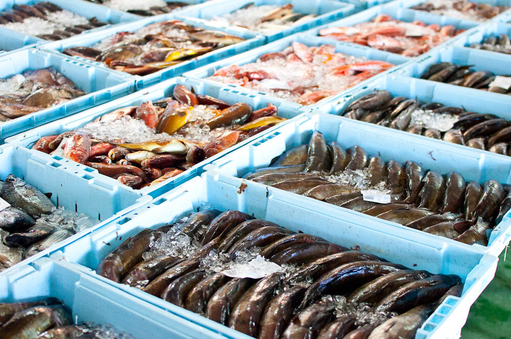 Купить свежую рыбу с доставкой. Поставка рыбы. Поставщики рыбы и морепродуктов. Рынок морепродуктов. Рыбные продукты.
