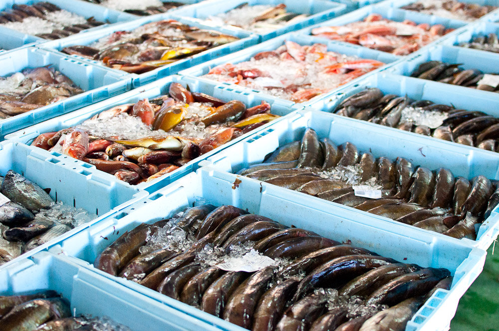 Виды рыбы на рынке. Поставка рыбы. Рынок морепродуктов. Рыба на рынке. Оптовая торговля рыбой.