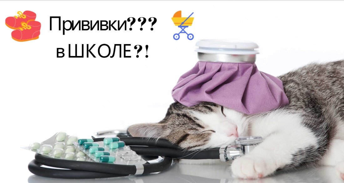 С рождения ребенка родителей приучают к мысли, что прививки – это лучший и единственный способ уберечь здоровье малыша. Как аргумент, сообщается, что в противном случае детский сад, школа, высшее учебное заведение и другие институты социума будут являться прямой угрозой его здоровью и даже жизни. Но, что мы знаем о прививках? 