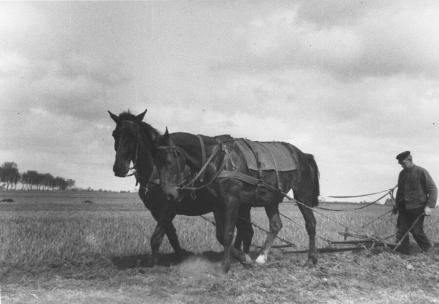 Крестьянин пашет поле в Восточной Пруссии, 1933 год. 