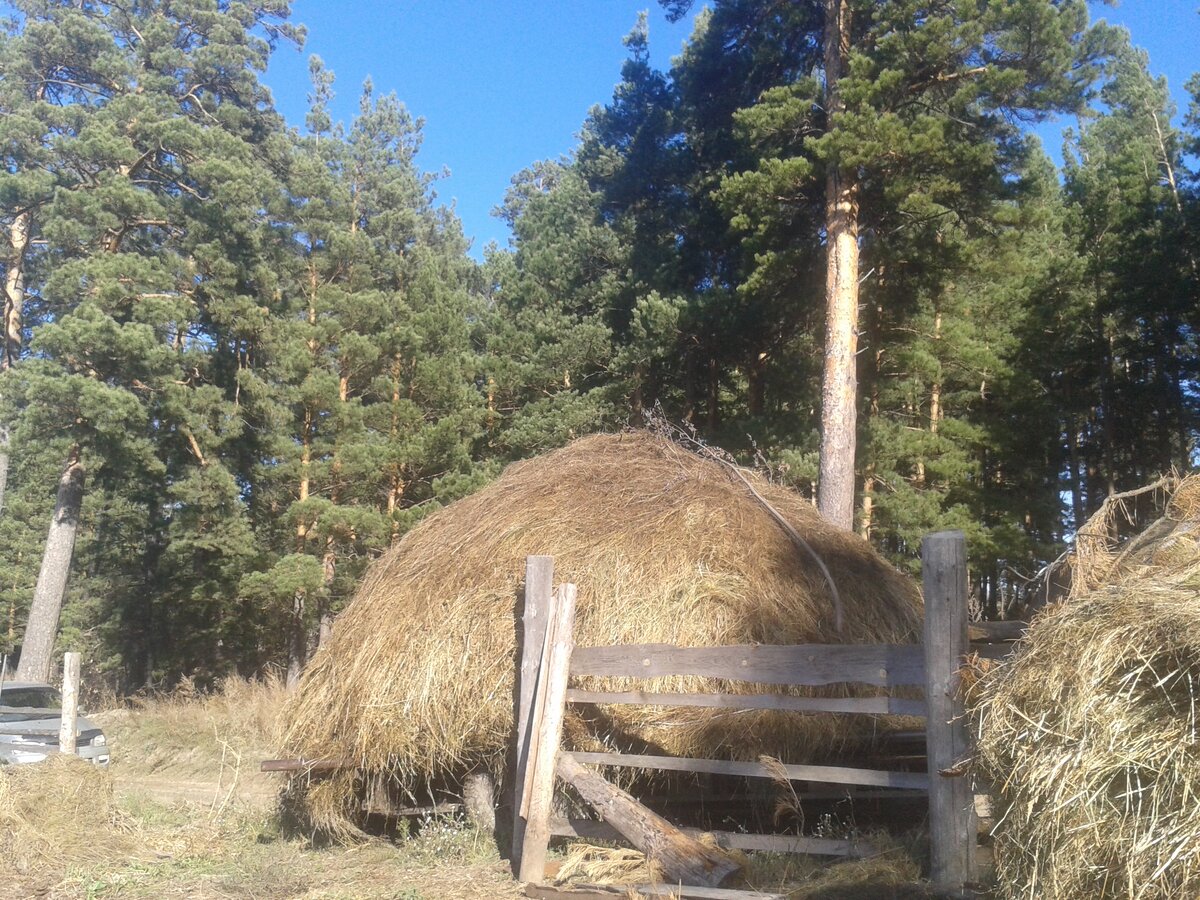 Завёл тележку задом.
