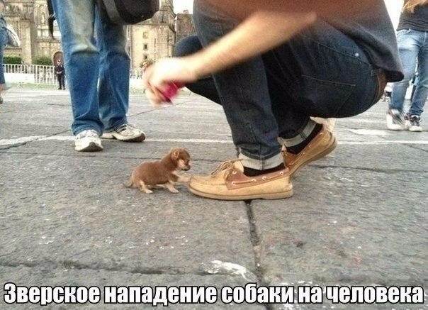 Ща я тебя здвину