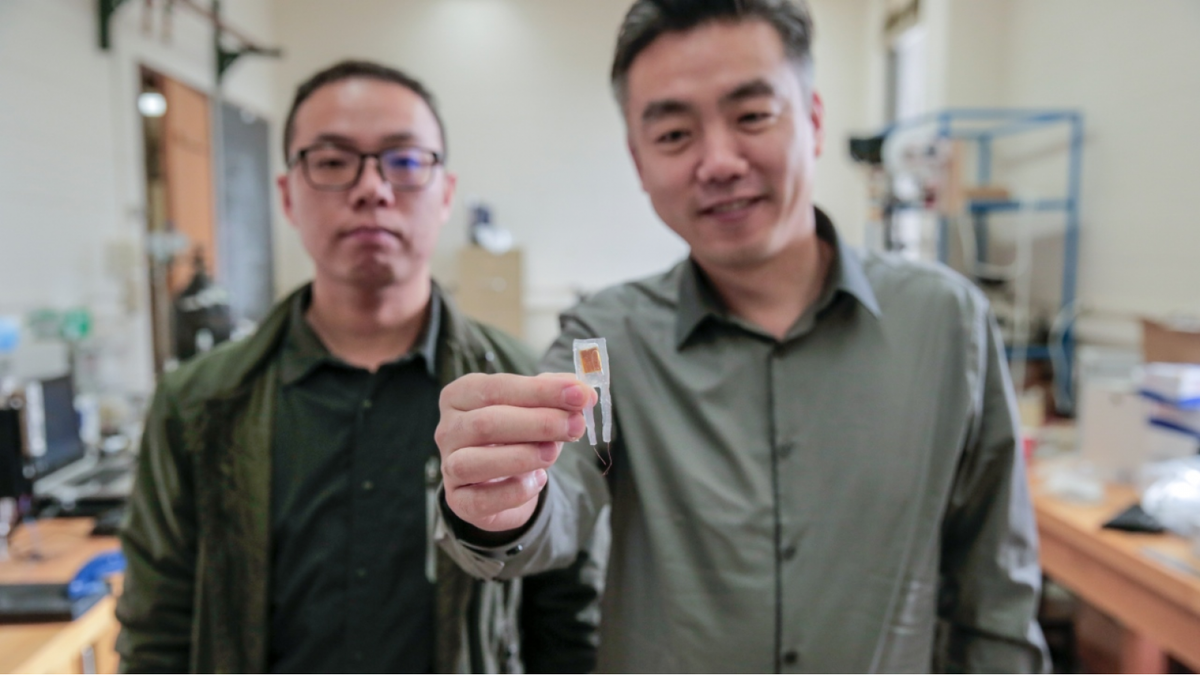 Имплантат помогает сбросить вес, обманывая желудок