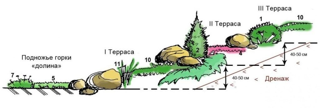 Альпийская горка своими руками схема