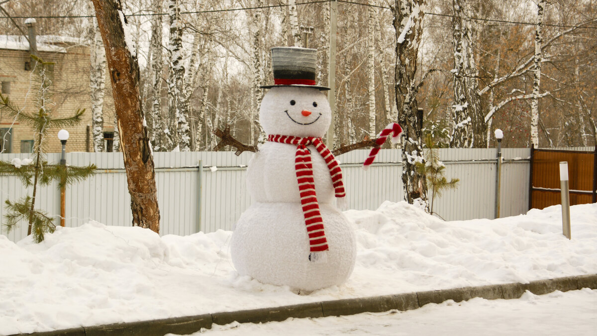 Радостный снеговик встречает гостей.