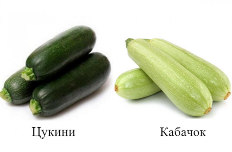 Чем цукини отличается от кабачка?