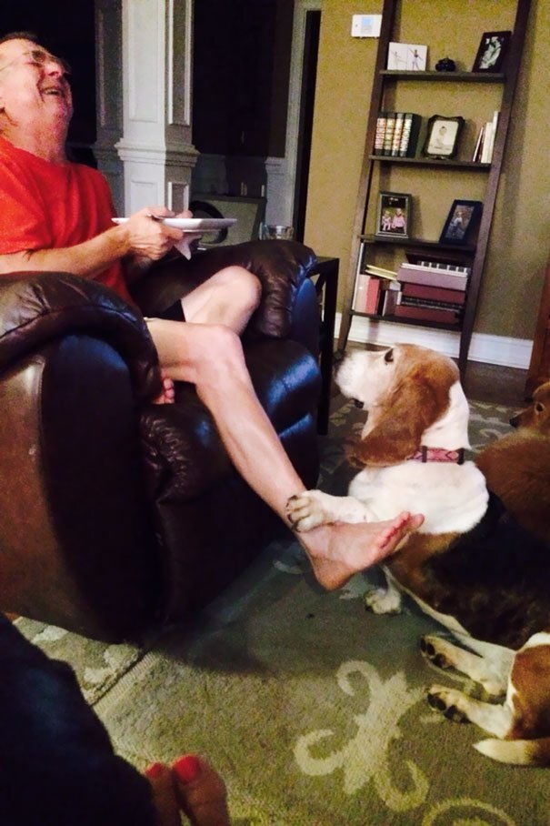 Хозяин, ну не жадничай...