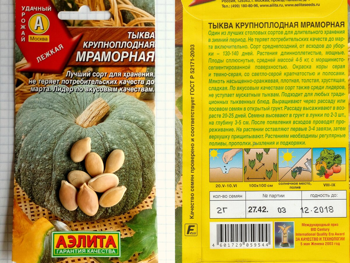 Голосеменная тыква описание сорта фото отзывы Тыква Мраморная от Аэлиты Меня зовут Мария Дзен