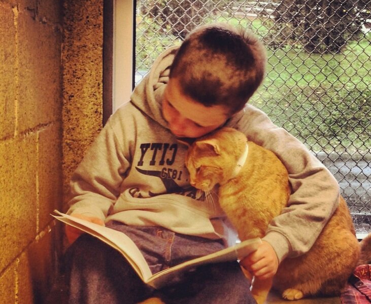 фото из интернета