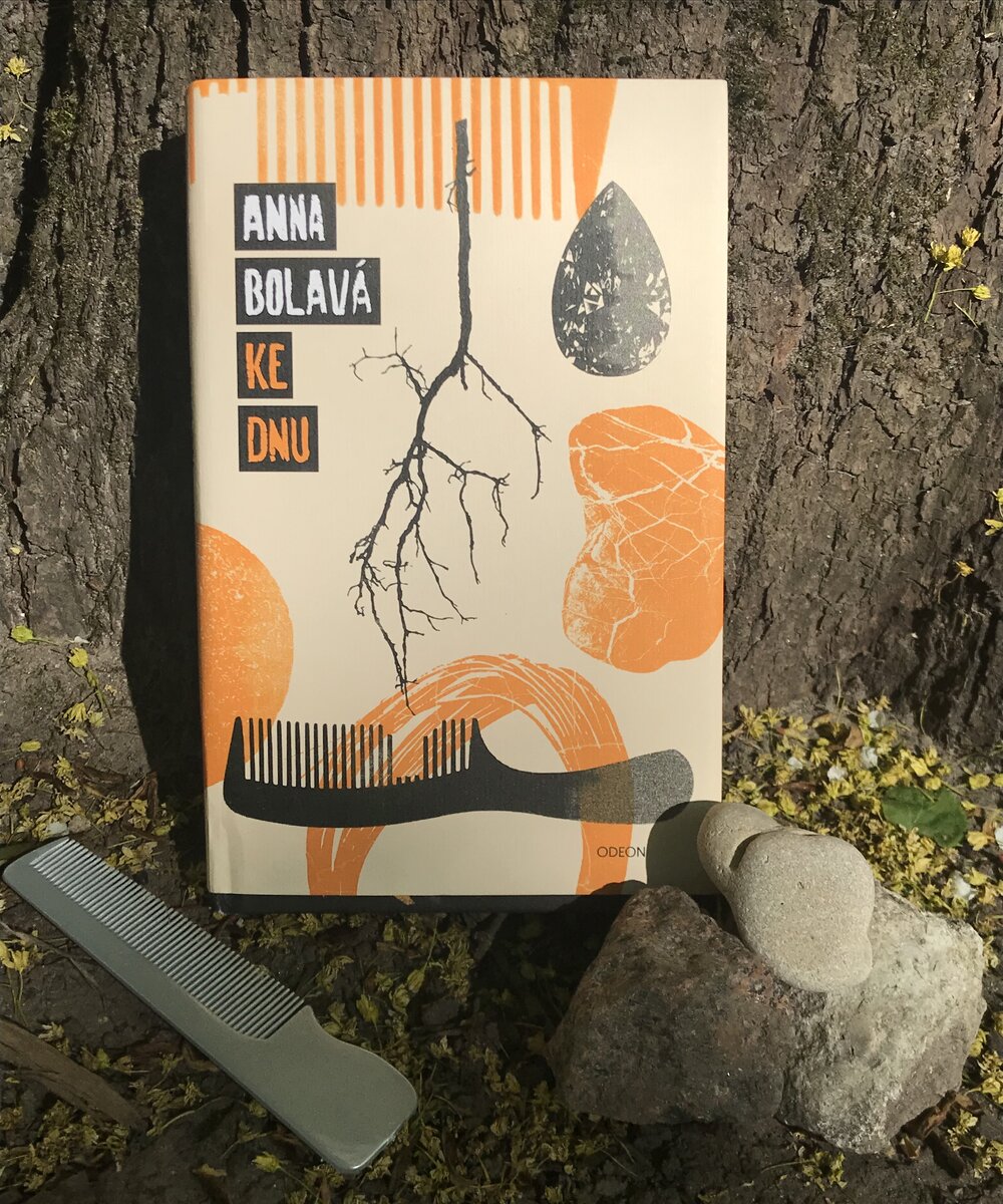 Обложка чешского издания романа "Ко дну"