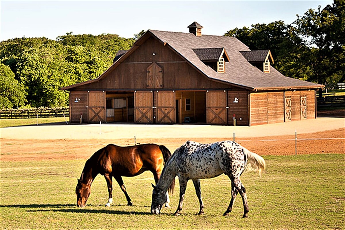 Как называется конюшня. Ферма ранчо Испания. Конюшня Грин Хорс. Конюшня Джона Лоуренса Англия. Монруж Франция конюшни.