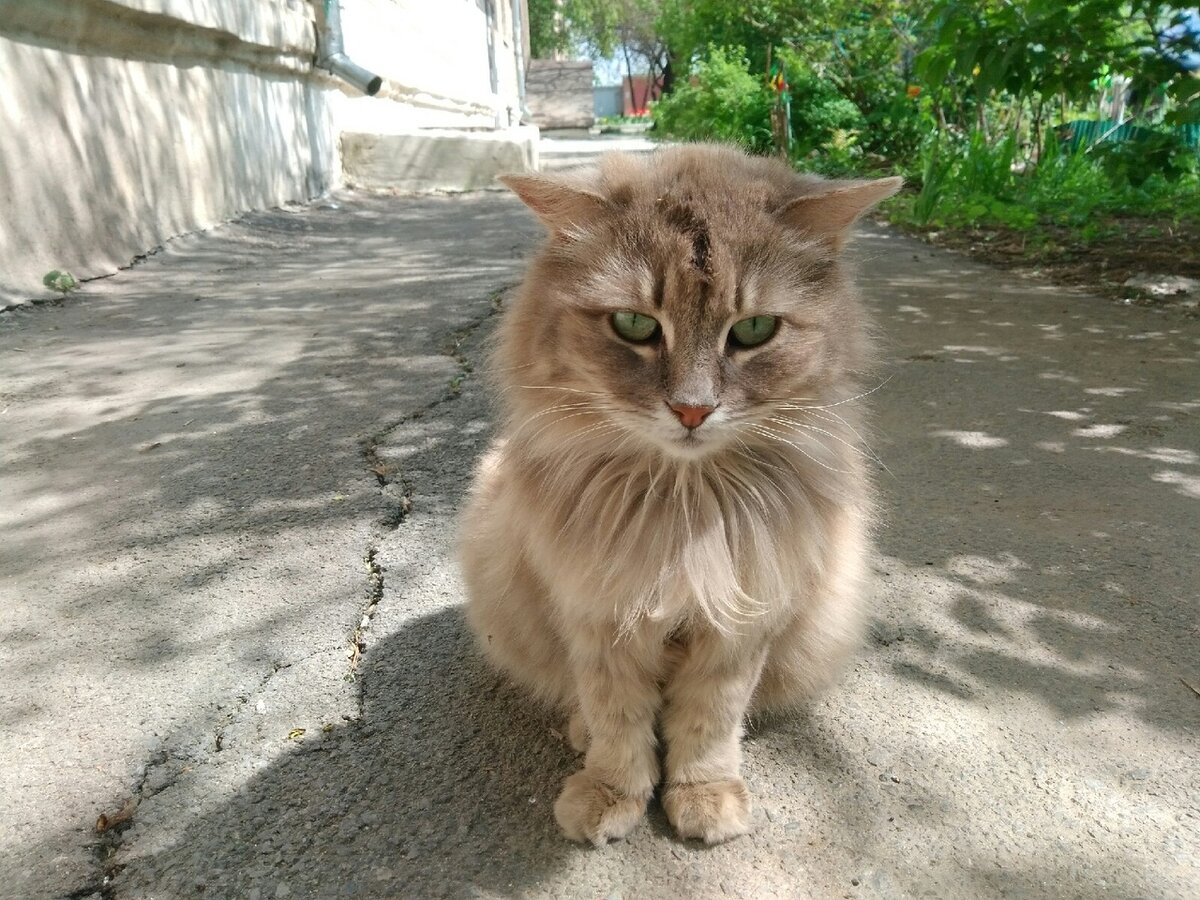 "Трудно оставаться красивой, когда кушаешь борщ"