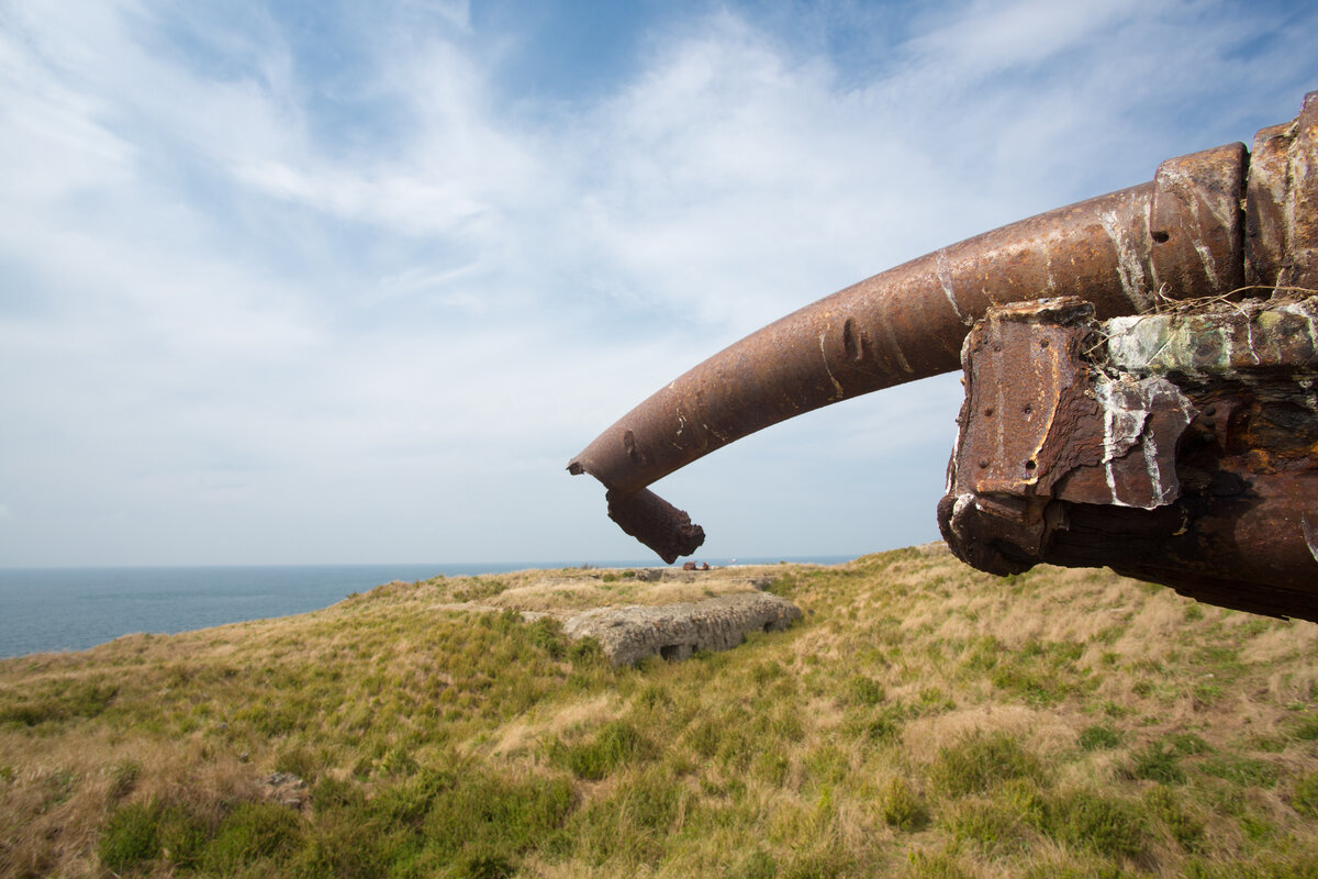 Источник фото: canva.com (приобретенная лицензия)