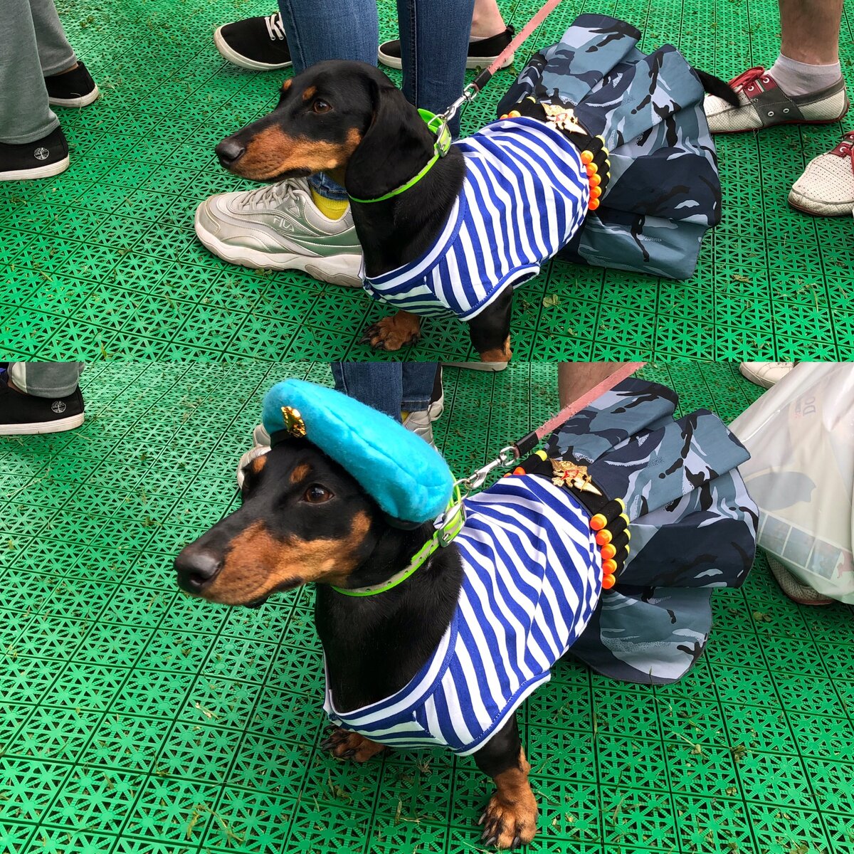 «Кстати, о моде. Без берета удобнее, но в берете красивее. Никак не могу выбрать!»