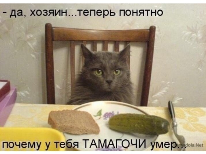 Кстати, зря в свое время ржал над этим парнем...сам то я с носом остался....