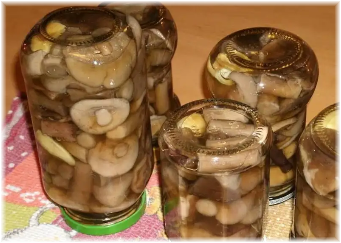 Троицкие грибы