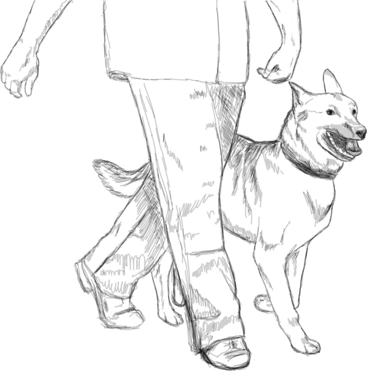 Я помню имена его собак. Я помню удивительный, свинцово-серебристый цвет его седины. А имени не помню...