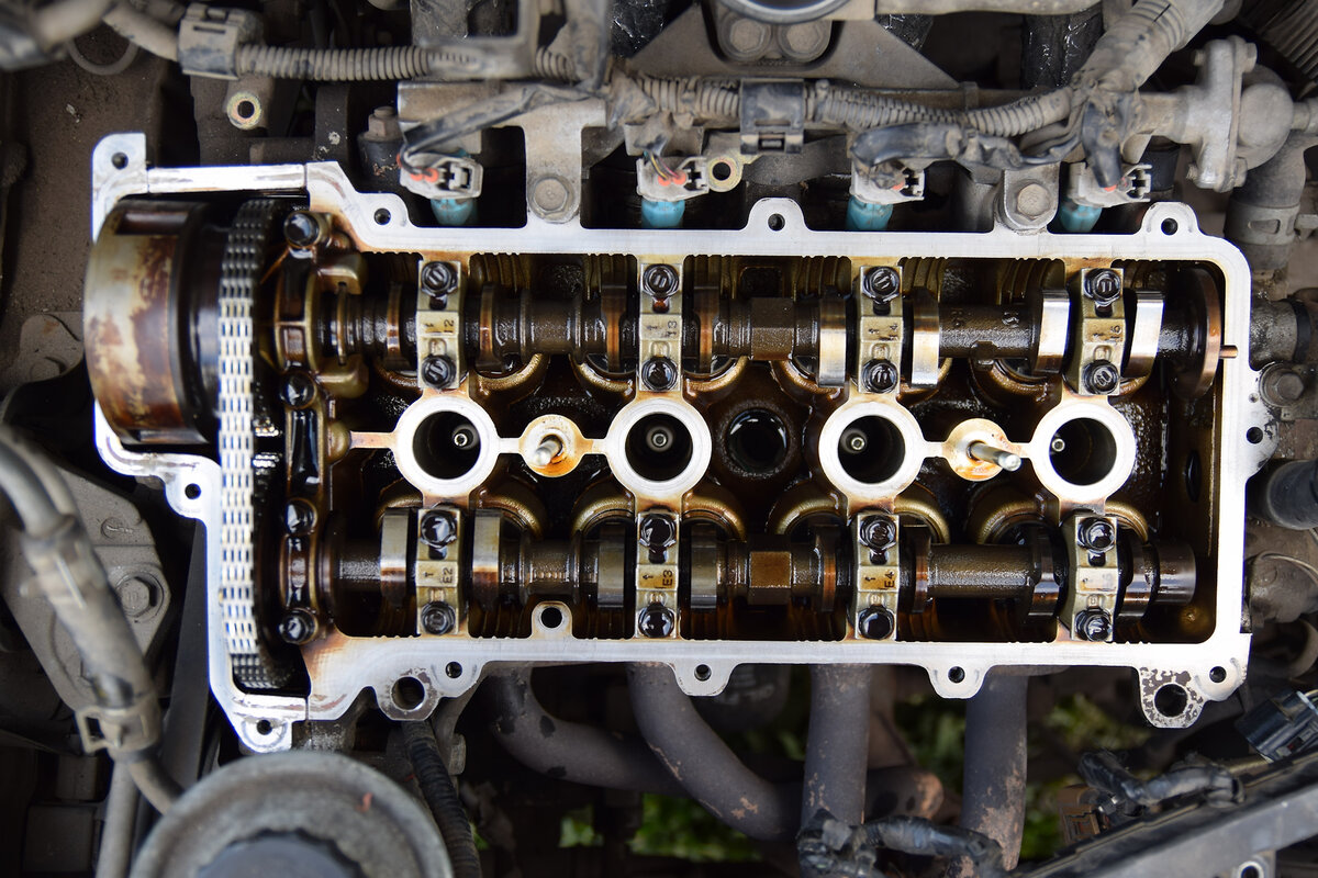 Ежегодная замена прокладки клапанной крышки и сальников гаек 1SZ-FE 240  400км… | Виталий Сергеевич | Дзен