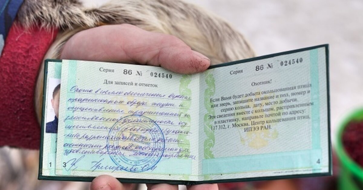 Отметка в охотбилете идентифицирующая представителя малых народностей