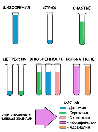 Формулы жизни