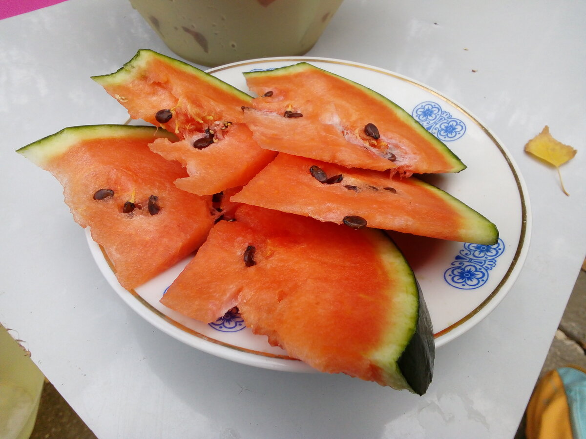 Урожай, однако！