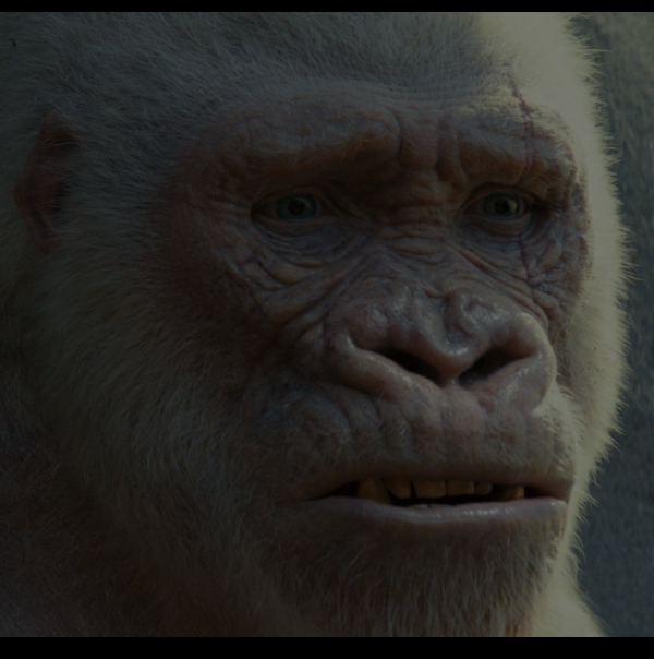 Момент из фильма "Рэмпейдж"