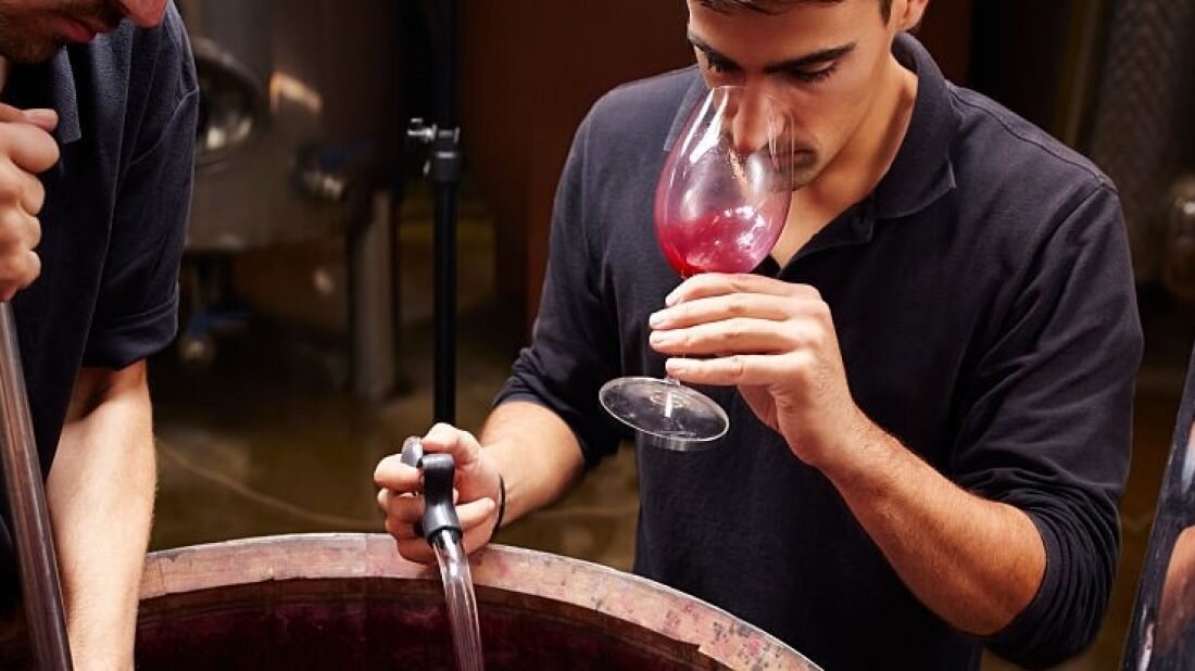 Мацерация вина. Вино производство. Винное производство. Процесс виноделия. Изготовление вина.