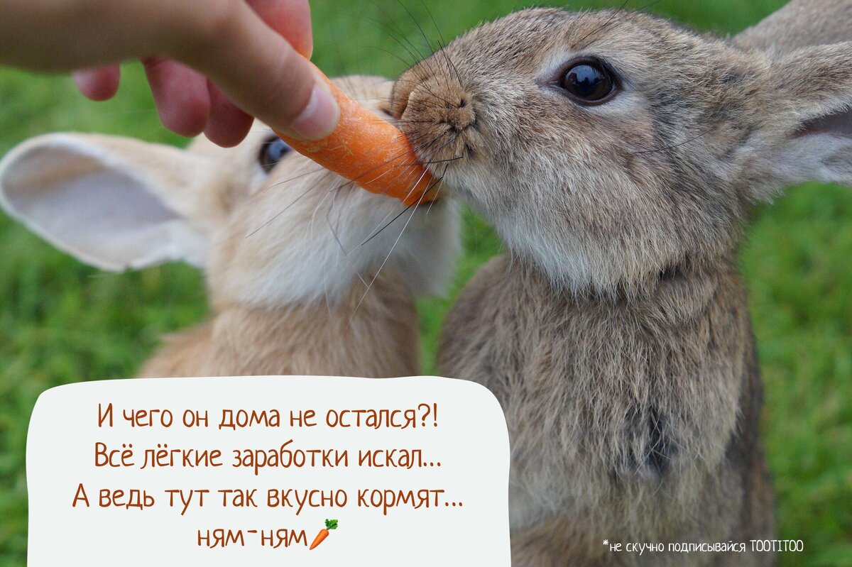 При подготовке картинки использовались фото из фотостока