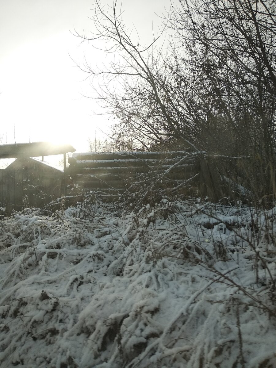 Заброшенные дома. Солнечный.