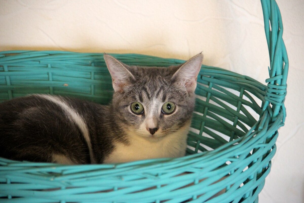 Здесь Ариша за долго до нашей встречи. 