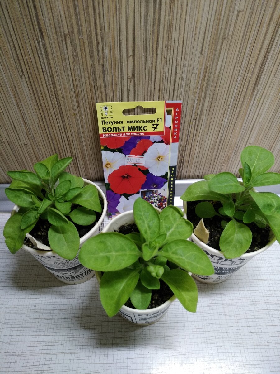 Листаем галерею ;)