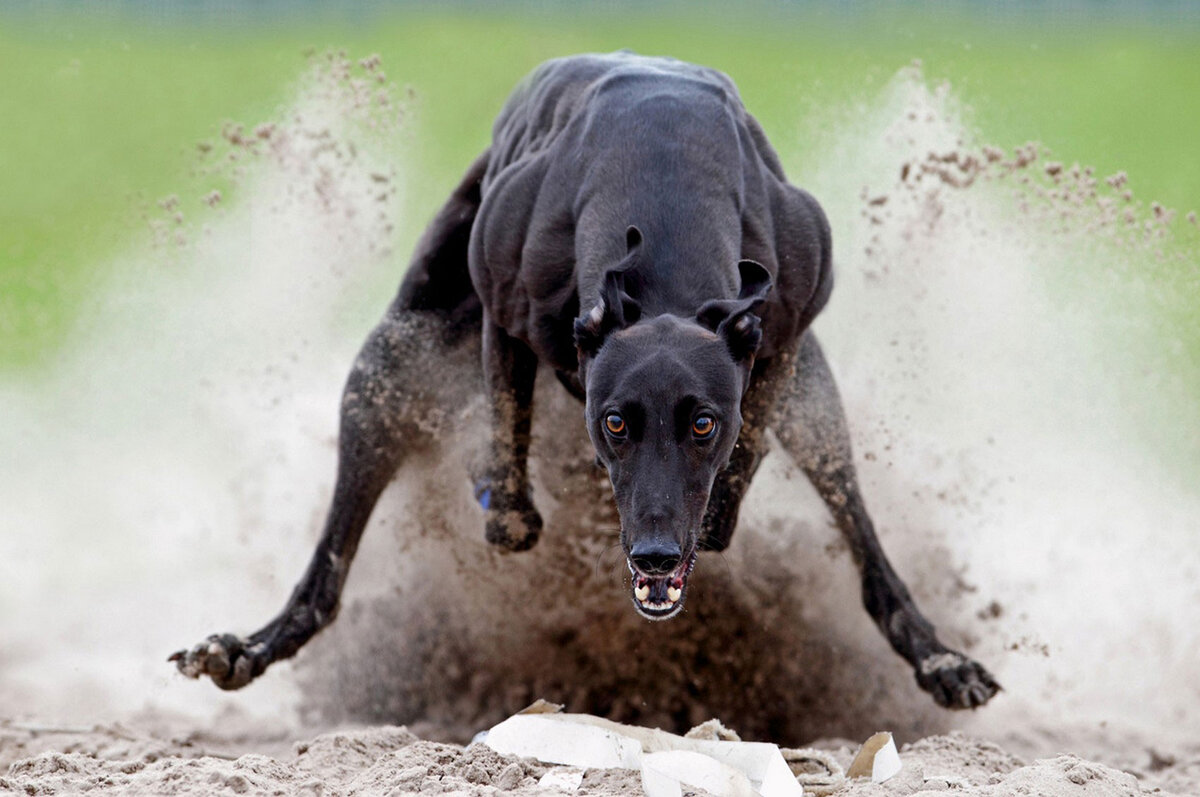 Фото с просторов.