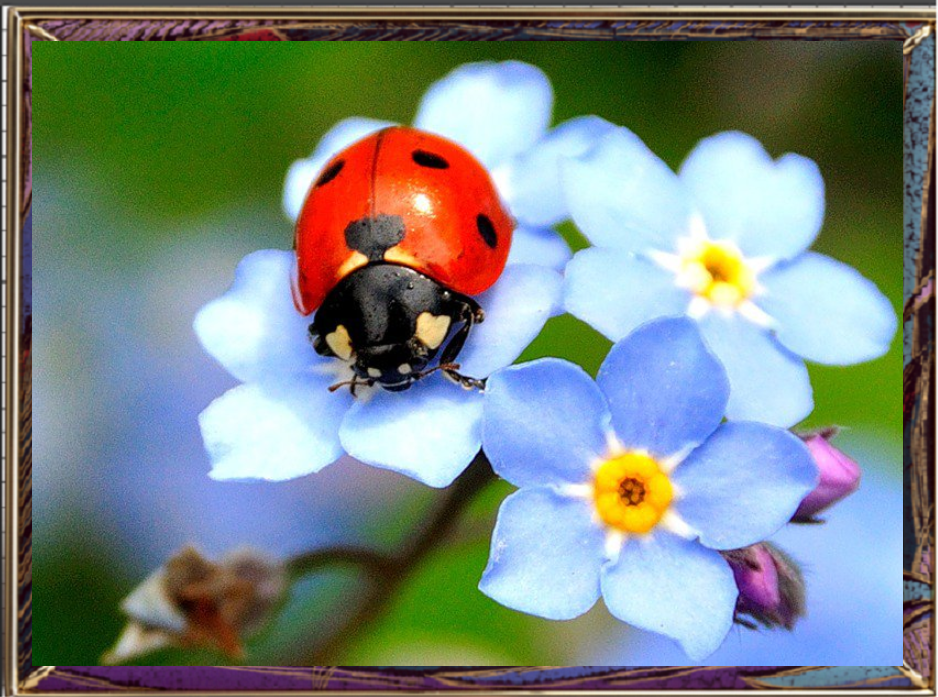 Фото из свободного доступа