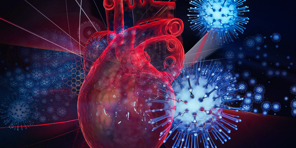 Короновирус атакует сердце.