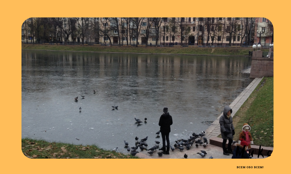 Авторское фото 2020 года.